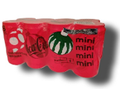 REFRESCO SURTIDO 36 PZS