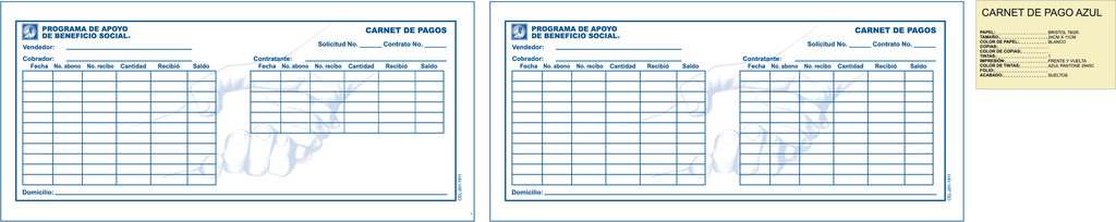 CARNET DE PAGO AZUL