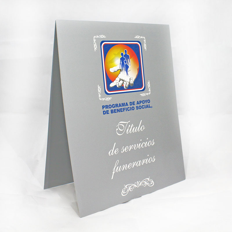 CARPETA DE TITULO