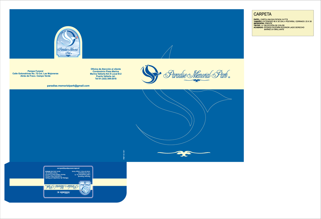 CARPETA PMP