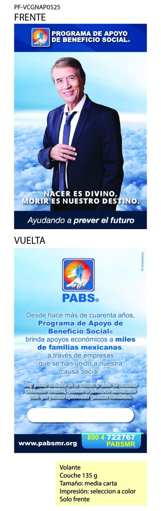 VOLANTE CAMPAÑA GUERRILLA NAPOLEÓN TRADICIONAL