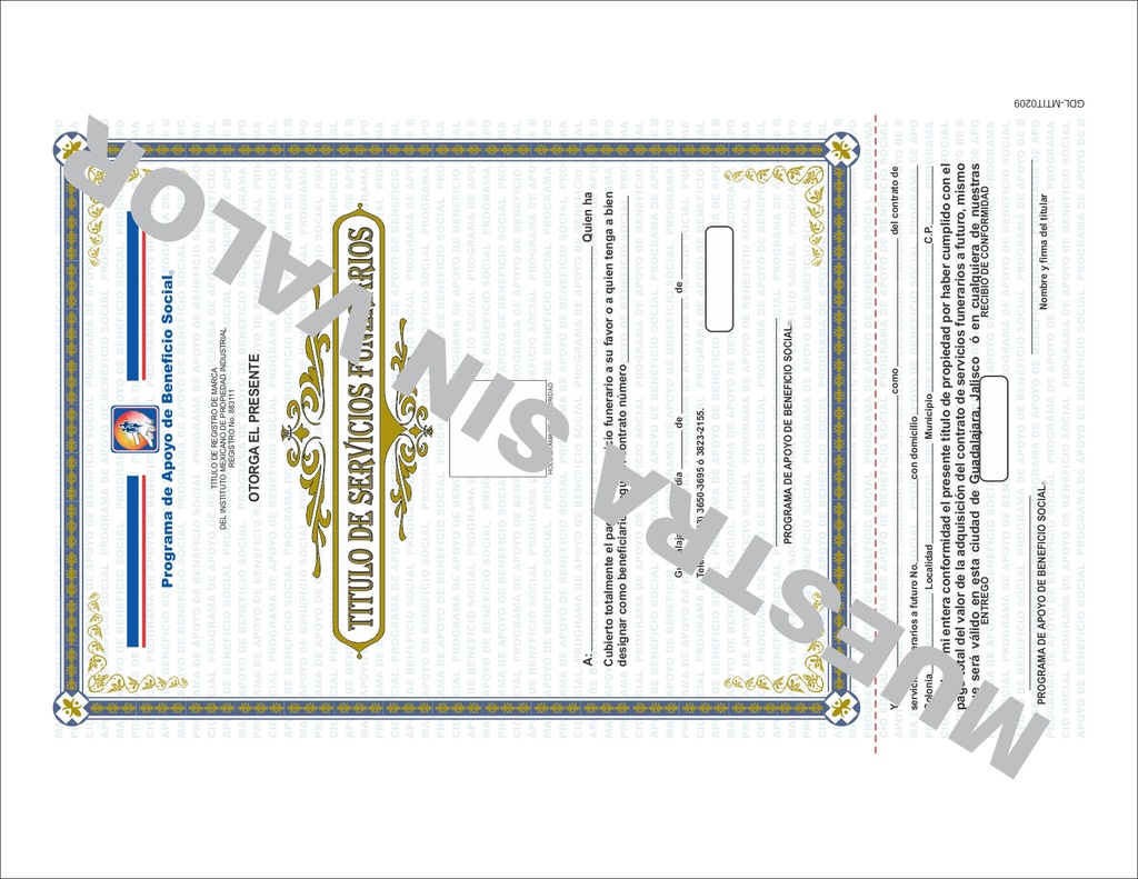 LAMINA PAG 15 TOLUCA