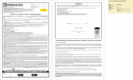 [PI-00108] GDL-111 GDL-CCBPBPTN0624_Cremacion basica_TINTA NEGRA