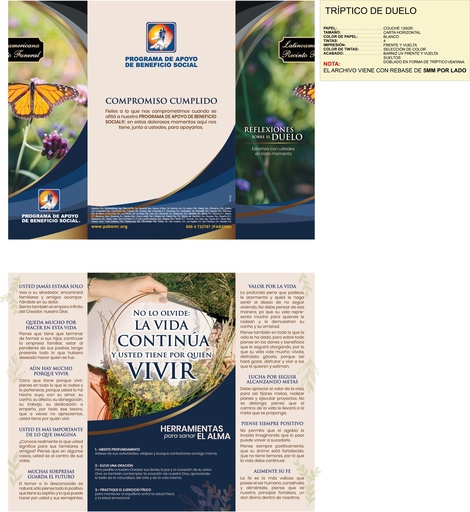[IF-00034] TRIPTICOS DE DUELO