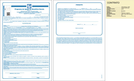 [MEX-102-0] CONTRATO CUAUHTEMOC AREACSA