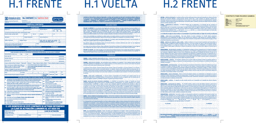 [SAL-105-0] CONTRATO PABS RICARDO GAMBOA