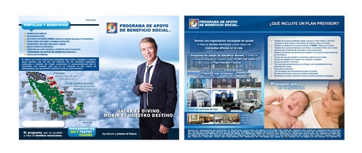 [VHER-402-0] VHER - DIPTICO CAMPA¥A GUERRILLA NAPOLEON TRADICIONAL