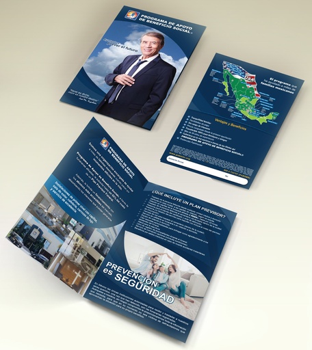 [PF-409-0] DIPTICO CAMPAÑA GUERRILLA NAPOLEÓN