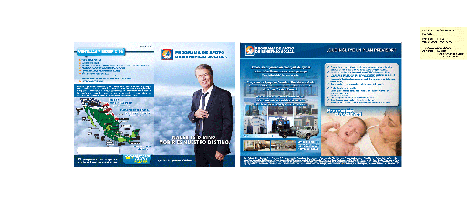 [NLAR-402-0] NLAR - DIPTICO CAMPA¥A GUERRILLA NAPOLEàN TRADICIONAL