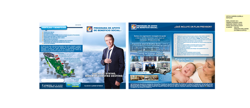 [ACAP-402-0] ACAP - DIPTICO CAMPA¾A GUERRILLA NAPOLE…N TRADICIONAL