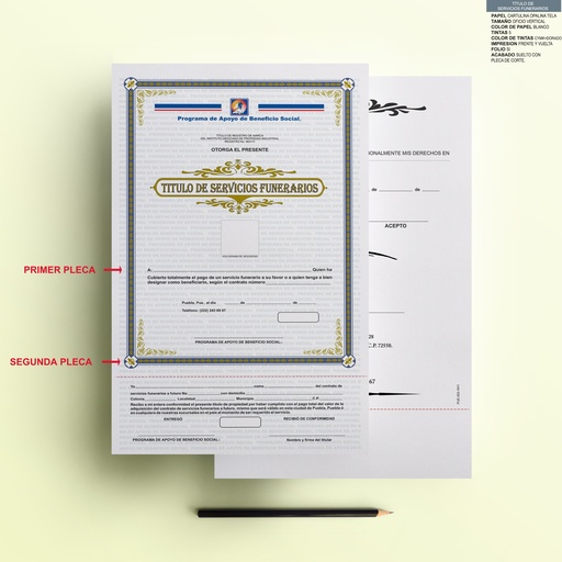 [PUE-303-0] PUE - TÖTULO DE SERVICIOS FUNERARIOS