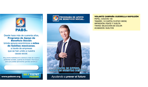 [MER-403-0] MER - VOLANTE CAMPA¥A GUERRILLA NAPOLEàN TRADICIONAL